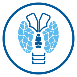 Patología Tiroides Patología Tiroides