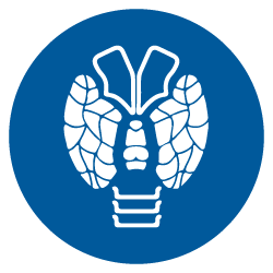 Patología Tiroides Patología Tiroides