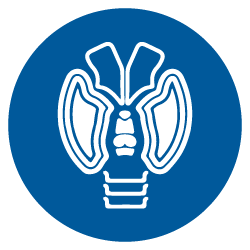 Hipotiroidismo Hipotiroidismo